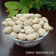 批发白扁豆 杂粮 长寿粥原料 药食同源 白扁豆粉 各种豆粉