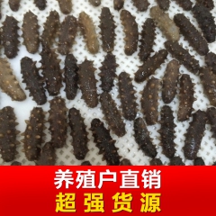 2.5-2.7倍涨发冷冻海参 福建酒店酒席供应25-27头/...
