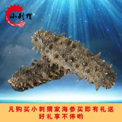 一手货源  大连淡干海参500g 野生海参国庆送礼佳品 辽刺...