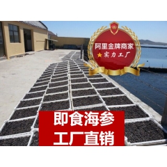 大连即食海参 5~25头 即食野生海参 工厂直销大连刺参 一...