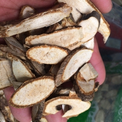 珍贵中药材东北刺人参 野生刺参 特价促销批发中草药