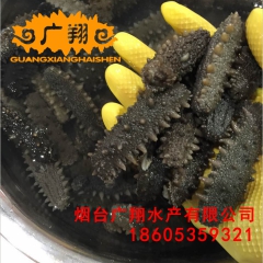中华老字号 东阿阿胶桃花姬阿胶糕300g