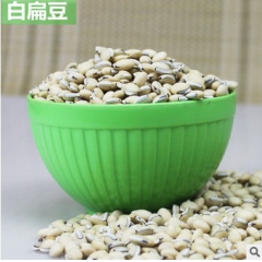 批发 中药材 白扁豆 农家扁豆 长寿粥原料 健胃祛湿 量大从...