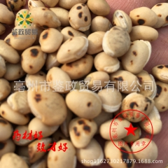 批发 优质 炒白扁豆 熟扁豆 粉 现磨豆浆 五谷磨坊 磨粉专...
