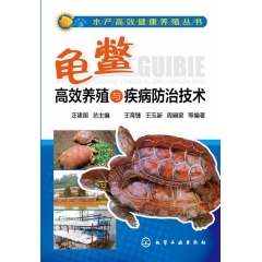 中华老字号 东阿阿胶桃花姬阿胶糕300g