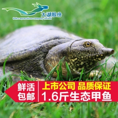 中华老字号 东阿阿胶桃花姬阿胶糕300g