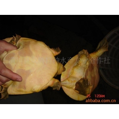 中华老字号 东阿阿胶桃花姬阿胶糕300g