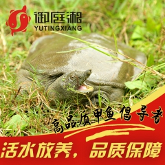 中华老字号 东阿阿胶桃花姬阿胶糕300g