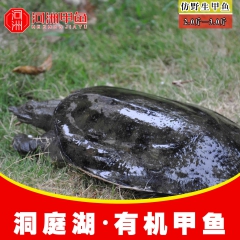中华老字号 东阿阿胶桃花姬阿胶糕300g
