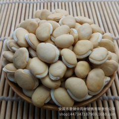 安国豪键批发优质级中药材白扁豆  纯天然无硫白扁豆  药食同...