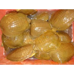 中华老字号 东阿阿胶桃花姬阿胶糕300g