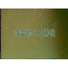 中华老字号 东阿阿胶桃花姬阿胶糕300g