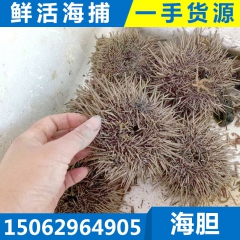 中华老字号 东阿阿胶桃花姬阿胶糕300g