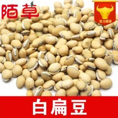 白扁豆 药食两用 中药材批发 干净无杂无硫 量大从优 支持检...