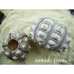 中华老字号 东阿阿胶桃花姬阿胶糕300g