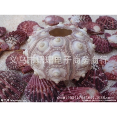 中华老字号 东阿阿胶桃花姬阿胶糕300g