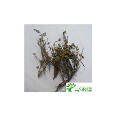 中华老字号 东阿阿胶桃花姬阿胶糕300g