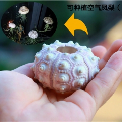 中华老字号 东阿阿胶桃花姬阿胶糕300g
