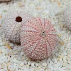 中华老字号 东阿阿胶桃花姬阿胶糕300g