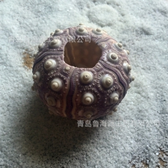 中华老字号 东阿阿胶桃花姬阿胶糕300g