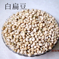 批发中药材 白扁豆 农家扁豆 长寿粥原料 健胃养胃 量大从优