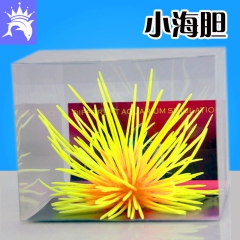 中华老字号 东阿阿胶桃花姬阿胶糕300g