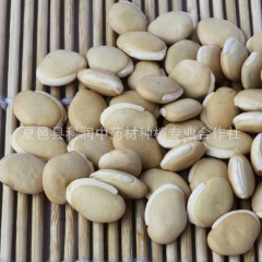 批发药食同源白扁豆 炒白扁豆 各种规格 量大���优