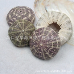中华老字号 东阿阿胶桃花姬阿胶糕300g