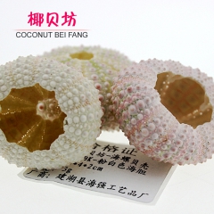 中华老字号 东阿阿胶桃花姬阿胶糕300g