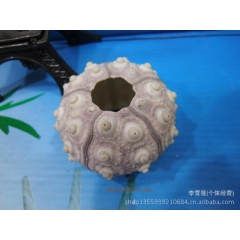 中华老字号 东阿阿胶桃花姬阿胶糕300g