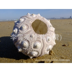 中华老字号 东阿阿胶桃花姬阿胶糕300g