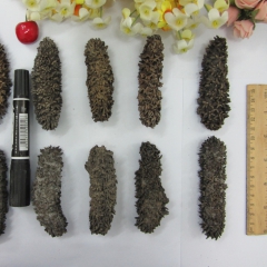 中华老字号 东阿阿胶桃花姬阿胶糕300g