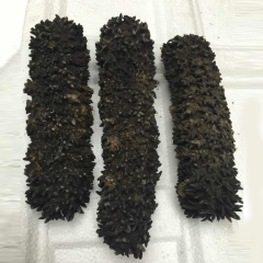 中华老字号 东阿阿胶桃花姬阿胶糕300g