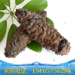中华老字号 东阿阿胶桃花姬阿胶糕300g