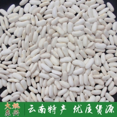 厂家出售 大姚优质白扁豆 500克健康进口大白芸豆55粒
