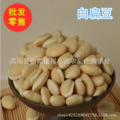 批发中药材 白扁豆 大粒白扁豆 大货供应