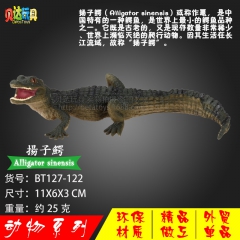 外贸精品动物模型玩具套装 扬子鳄 野生鳄鱼模型动物玩具手办模...