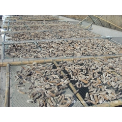 中华老字号 东阿阿胶桃花姬阿胶糕300g