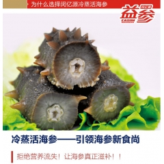中华老字号 东阿阿胶桃花姬阿胶糕300g