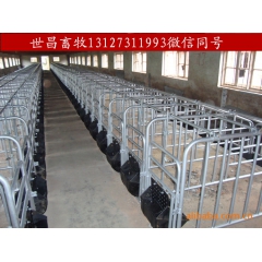 养猪【限位栏】母猪定位栏最新价格厂家直销