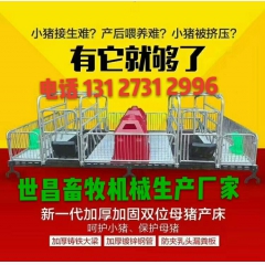 双体母猪产床河北泊头世昌供应双体母猪产床