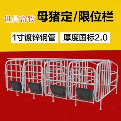 世昌畜牧新型母猪定位栏新品上市