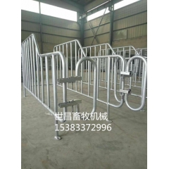新型猪用半定位栏火热上市半定位栏现货出售