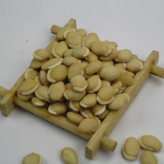 药食同源优质药用健脾胃白扁豆 纯天然农家药用白扁豆 现货供应