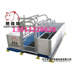 猪场自动化料线猪用喂料设备