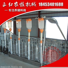 自动化饲喂设备 养猪料线