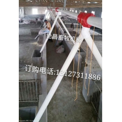 中华老字号 东阿阿胶桃花姬阿胶糕300g