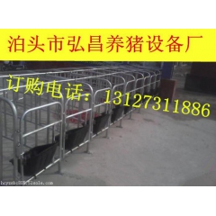 低价出售母猪保胎定位栏 母猪单体限位栏