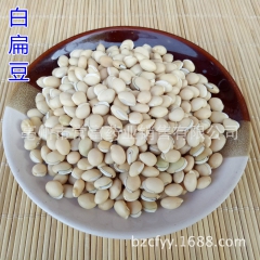 白扁豆 五谷杂粮白扁豆 另有炒扁豆 粉