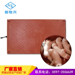 中华老字号 东阿阿胶桃花姬阿胶糕300g